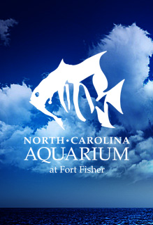 North Carolina Aquarium at Fort Fisher