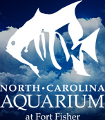 North Carolina Aquarium at Fort Fisher