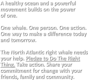 A healthy ocean and a powerful movement builds on the power of one.  One whale. One person. One action. One way to make a difference today and tomorrow.  The North Atlantic right whale needs your help. Pledge to Do The Right Thing. Take action. Share your commitment for change with your friends, family and community.